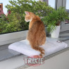 Plataforma Gatos CosyPlace con  Ventana