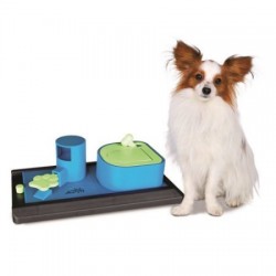 Dog Activity Poker Box Vario 2