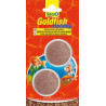 TetraGoldFish Holiday