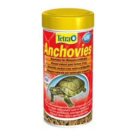 Tetra Anchovies