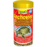 Tetra Anchovies
