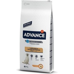Advance Labrador 