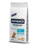 Advance Medium Puppy