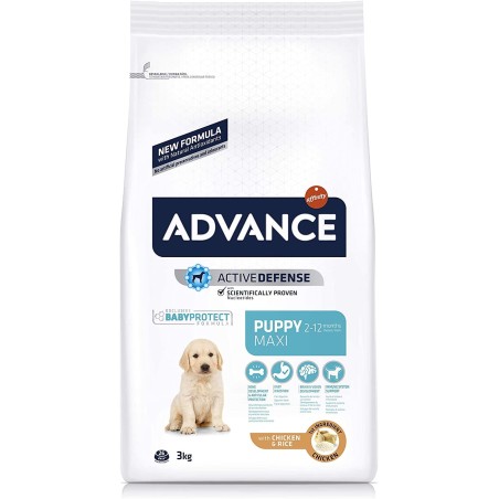 Advance Maxi Puppy