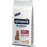Advance Medium Senior