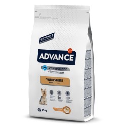 Advance Yorkshire Terrier Adult