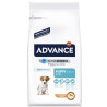 Advance Mini Puppy