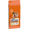 Dog Chow Senior con Pollo