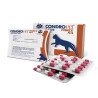 CONDROVET FORCE HA- GATOS 45cp CONDROVET FORCE HA- GATOS 45cp