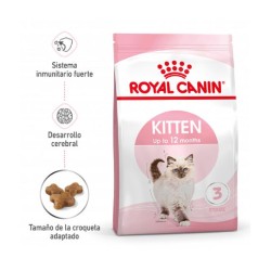 Royal Canin KITTEN 2 kgs