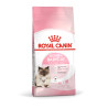 Royal Canin MOTHER & BABYCAT 4 kgs
