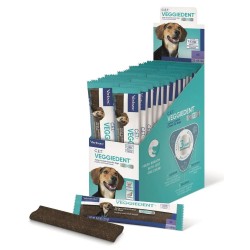 VEGGIEDENT FR3SH SINGLE- M 28un