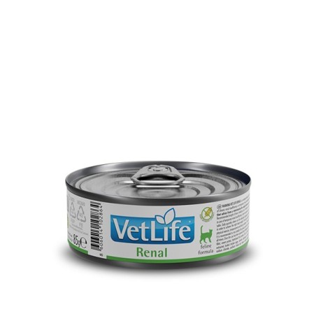 VETLIFE CAT RENAL 12 LATASX85G