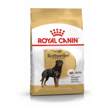  Rottweiler Adulto 12kgs