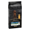 Pro Plan Puppy Large Athletic con Pollo 12kgs