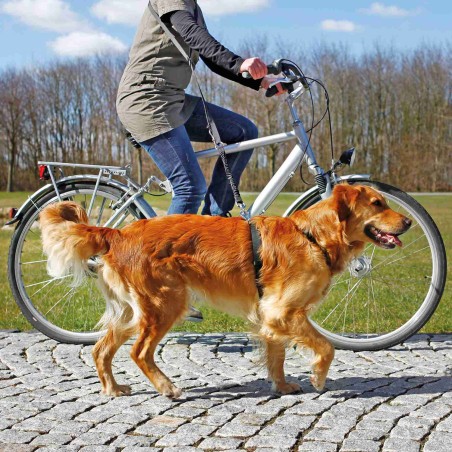 Ramal Bicicleta/Footing Negro