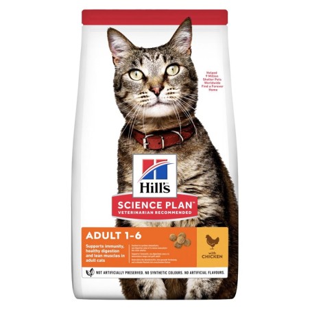 Hills SP Feline Adult Optimal Care Pollo