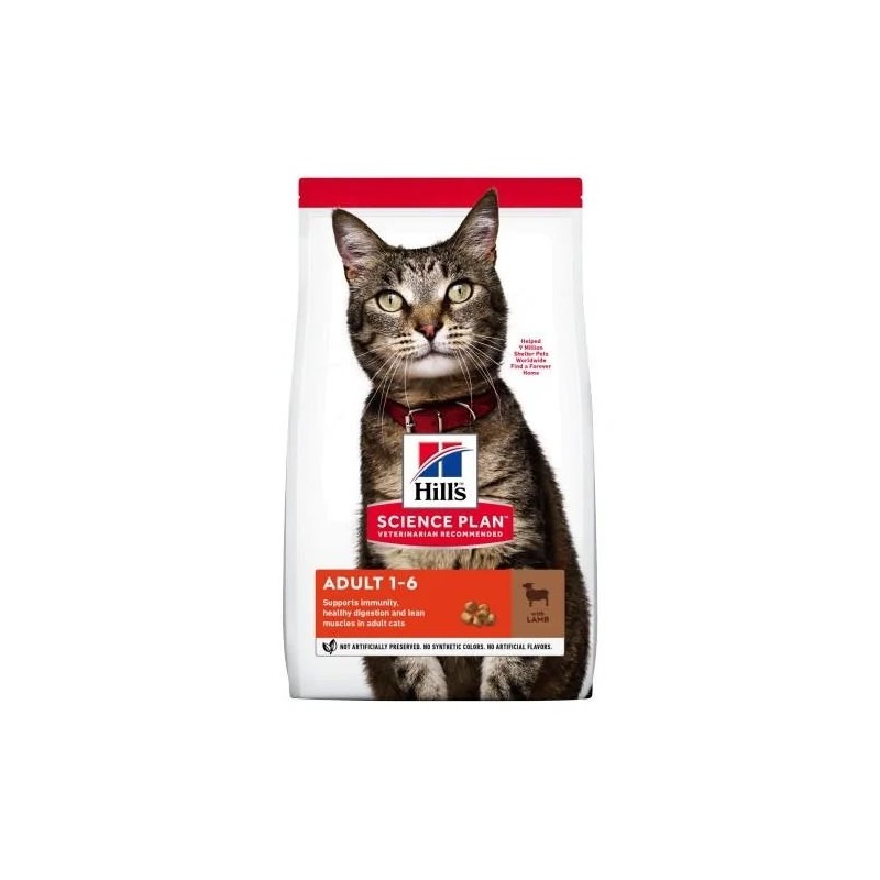 Hills SP Feline Adult Optimal Care Cordero
