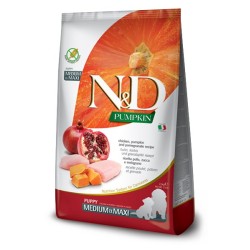 N&D PUMPKIN PUPPY MED/MAXI POLLO 12KG