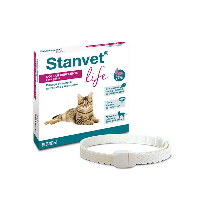 COLLAR STANVET LIFE GATO