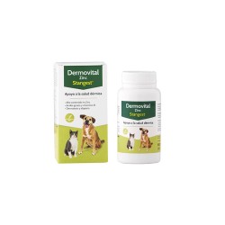 DERMOVITAL ZINC 60cp
