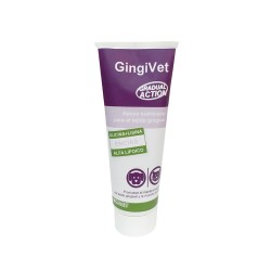 GINGIVET PASTA 100gr