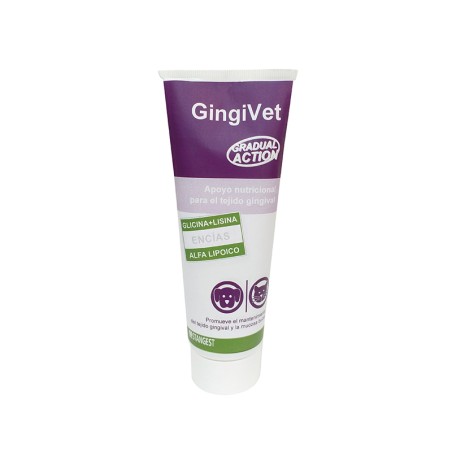 GINGIVET PASTA 100gr