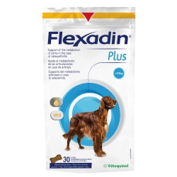FLEXADIN PLUS MAX 30cp