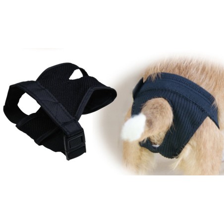 BRAGA-SLIP  NEGRA