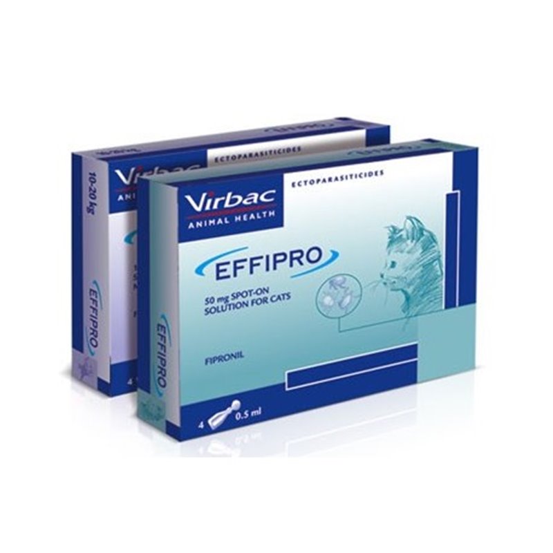 EFFIPRO GATO 50mg  4pip EFFIPRO GATO 50mg  4pip