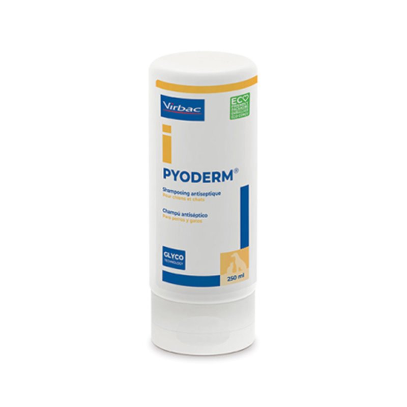 PYODERM CHAMPU 250ml PYODERM CHAMPU 250ml
