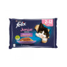Felix Fantastic Junior 2-12 Meses Selecciones Favoritas en Gelatina 4x85gr