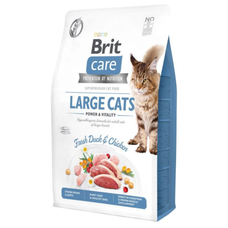 BRIT CARE CAT GF LARGE-PWR VITALITY 400g
