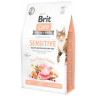 BRIT CARE CAT GF-HEALTHY DIGEST TAST400g