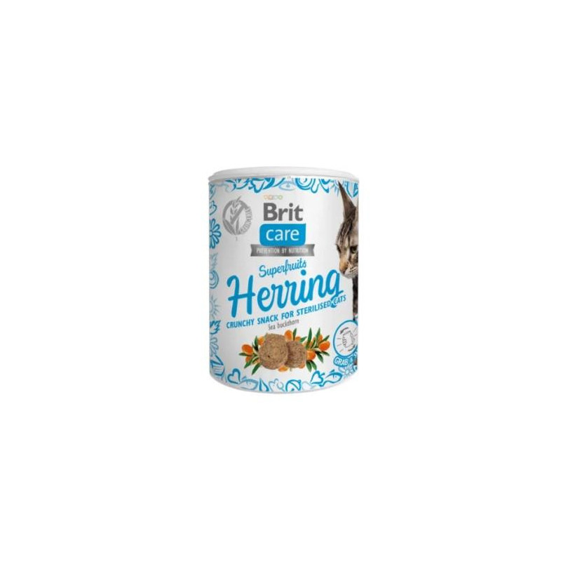 BRIT CARE CAT SNACK SF- ARENQUE 6x100gr