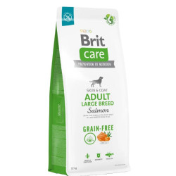 BRIT CARE DOG GF ADULT R-GDE SALMON 12kg