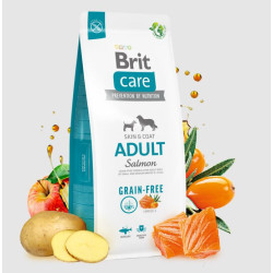 BRIT CARE DOG GF ADULT- SALMON 12kg