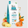 BRIT CARE DOG GF ADULT- SALMON 12kg