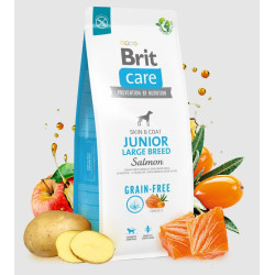 BRIT CARE DOG GF JUNIOR R-GDE SALMO 12kg