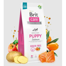 BRIT CARE DOG GF PUPPY- SALMON 3kg
