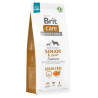 BRIT CARE DOG GF SENIOR-LIGHT SALMO 12kg