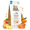 BRIT CARE DOG GF SENIOR-LIGHT SALMON 3kg