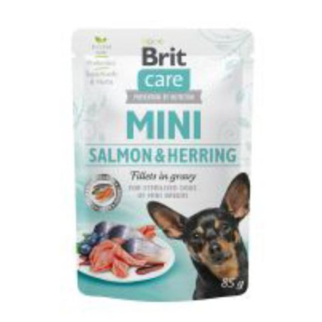 BRIT CARE DOG MINI SALM-AREN POUCH24x85g