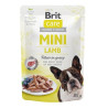 BRIT CARE DOG MINI- CORDERO POUCH 24x85g