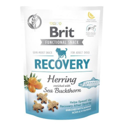 BRIT CARE DOG SNACK-RECOVERY AREN10x150g