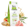 BRIT CARE DOG SUST ADULT R-MED POLLO12kg
