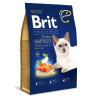 BRIT PREMIUM BN CAT ADULT- SALMON 8kg