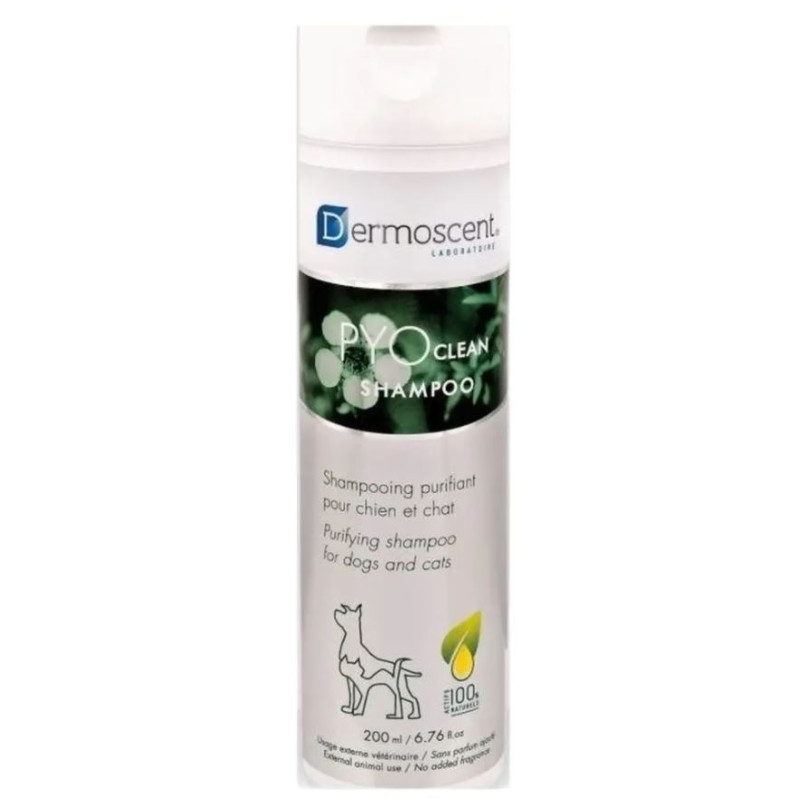 DERMOSCENT PYOCLEAN- CHAMPU 200ml