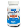 GLANDULEX SACS POLVO 70gr