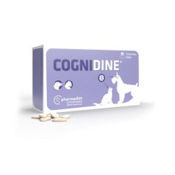 COGNIDINE 60comp